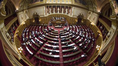 France's controversial pension reform bill arrives in Senate