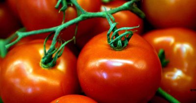 Getir giving away free tinned tomatoes in Liverpool