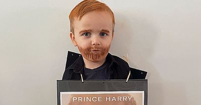 Three-year-old becomes Prince Harry for World Book Day and parents dub it 'a masterpiece'