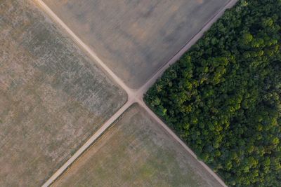 At Gabon talks, a debate on who pays to save world's forests