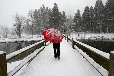 California pounded by snowfall as storms shutter national parks