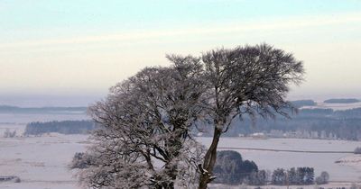 Met Office predicts wintry conditions will return as weather maps show temperatures set to drop
