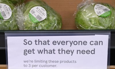 Salad shortages? They don’t worry me – I grow my own in a 8x5m plot. You can, too