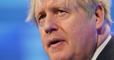 Bitter Boris Johnson rails against new Brexit deal but admits public fed up