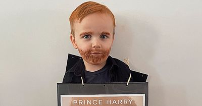 Boy, 3, wins World Book Day with 'masterpiece' Prince Harry costume