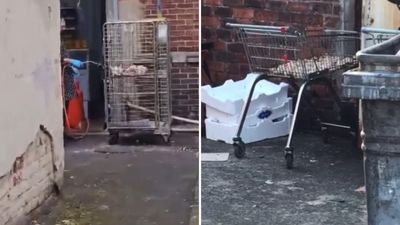 Council investigating after perplexing viral clip of man blowtorching raw chicken