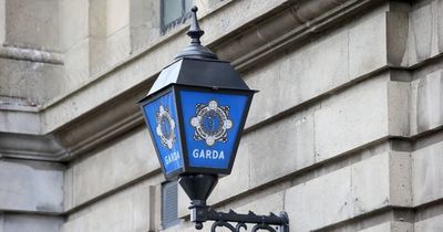 Skeletal remains found in Dublin as search for missing man is stood down