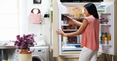 You've been stacking your fridge wrong – expert shares key to keeping food fresh