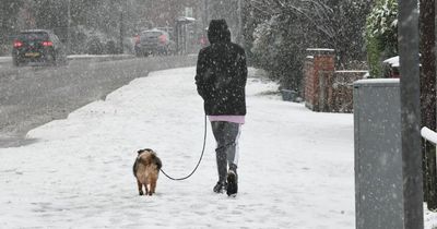 'Heavy snow' forecast to hit Nottinghamshire during 23-hour window