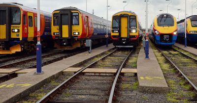 'Selfish' gang of graffiti vandals branded 'idiots' after defacing trains