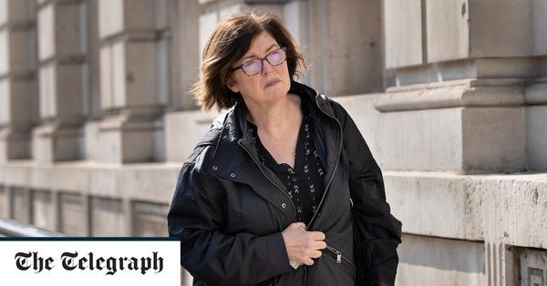 Sue Gray's partygate investigation branded 'plot' against Boris Johnson