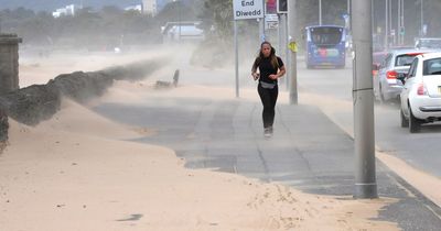 The battle to stop Swansea being taken over by sand