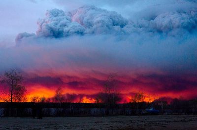 Carbon emissions from boreal forest fires rose in 2021
