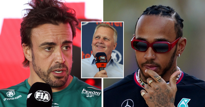 Lewis Hamilton snubbed as Johnny Herbert expresses his Fernando Alonso desire