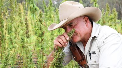 Country singer James Blundell in tune with hemp's $10 million-a-year potential for farmers