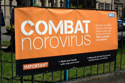 Norovirus levels reach ‘highest in more than a decade’ for this time of year