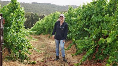 Shepherd's Hut manager Laura Wishart working hard to 'prove them wrong' after taking over WA vineyard