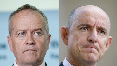 Bill Shorten dubs Stuart Robert's defence of Robodebt handling as 'peak bizarre'