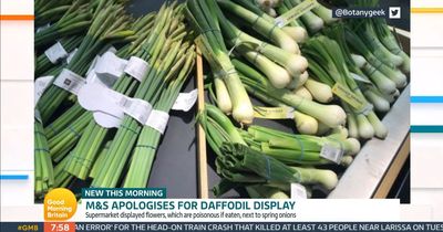 Marks & Spencer apologises after daffodils are displayed alongside vegetables