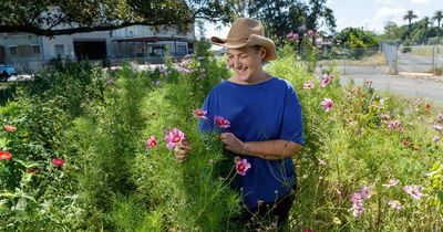'We have been amazed': garden solving Hunter's soil problem