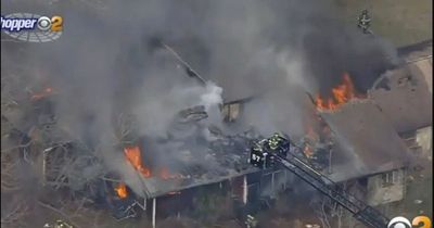 Woman fighting eviction takes drastic steps and blows herself up in house full of cats