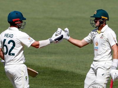 Australia secure memorable Test win in India