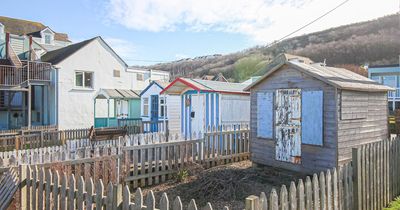 Ramshackle beach hut goes on the market for £30,000