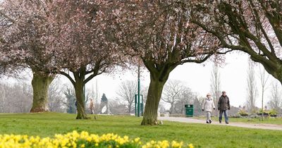 Ireland weather: Expert pinpoints return of spring conditions after subzero freeze and snow