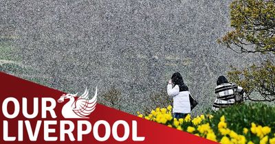 Our Liverpool: thank God it's Friday