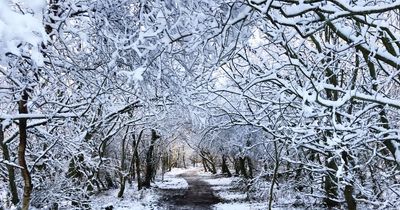 Edinburgh weekend weather as snow and-5C chill to hit the capital next week