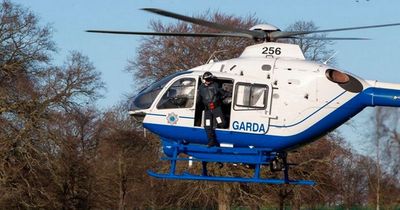 Pair 'hijack cars' and lead gardai and Air Support on massive cross-county chase