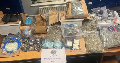 Massive drug stash worth €370,000 seized from home in major garda raid