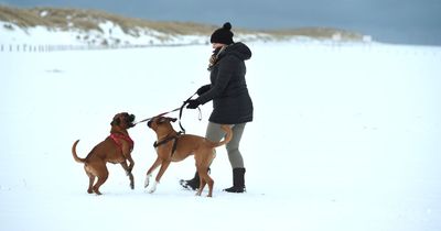 Met Office issue yellow UK weather warning for snow and ice