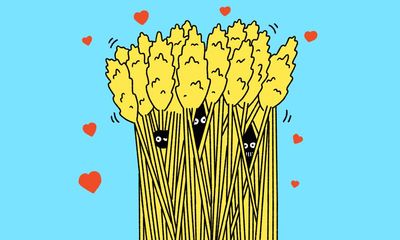 It doesn’t need to face south! 10 of the biggest garden myths debunked