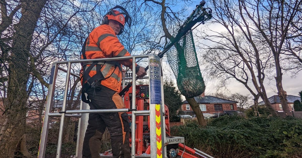Team rescue effort after kitten gets stuck 60ft up…