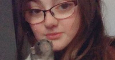 Woman left 'heartbroken' after Evri loses delivery containing pet rat's ashes