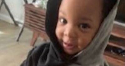 Family pleads for toddler abducted from babysitter's home to be returned
