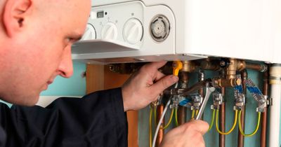 Expert recommends £1 item to protect your boiler as cold weather hits