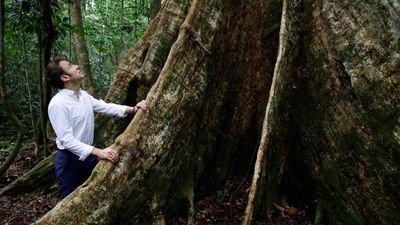 France, NGOs pledge €100m to protect world's tropical forests