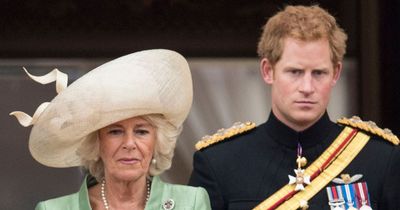 Prince Harry's cruel two-word insult against Camilla which went too far for Charles