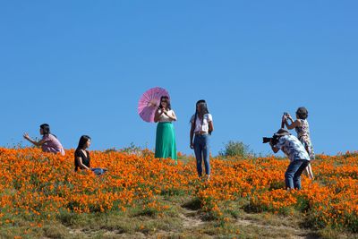 Tourists could ruin Cali "superbloom"