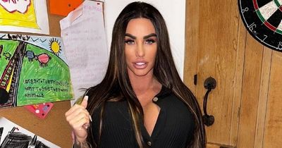 Katie Price 'drops out of TV comeback last minute' causing 'major headache' with bosses