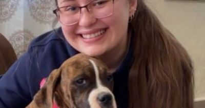Dog reunites with family after somehow surviving three weeks in freezing snowstorm