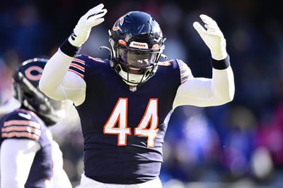 Bears 2023 free agency preview: Should Chicago bring back Matt Adams?