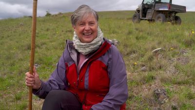 Zero-slaughter wool pays off for Tasmanian Nan Bray, who lets her sheep live out their days on her farm