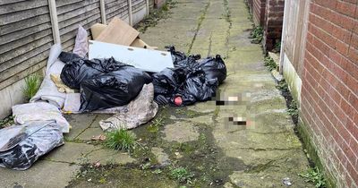 Horrific images show severed ANIMAL LEGS among fly-tipped rubbish in Manchester alleyway