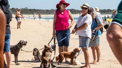 Crescent Head dog walkers have win over National Parks and Wildlife Service for beach access