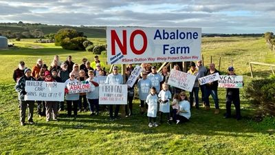 State planning process criticised following Portland abalone farm hearing by Planning Panels Victoria