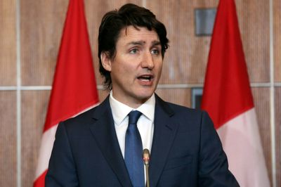 Trudeau says cocaine licenses are not for selling drug to public