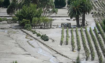 Growers count cost as Cyclone Gabrielle buries New Zealand vineyards in silt
